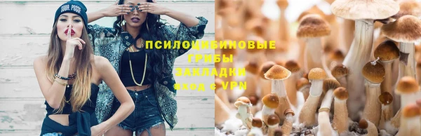 mdpv Баксан