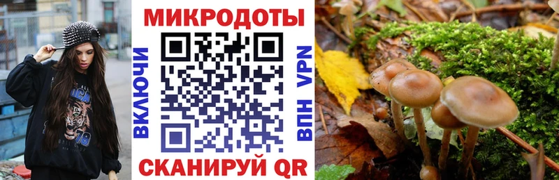 цены   Берёзовка  Псилоцибиновые грибы Cubensis 